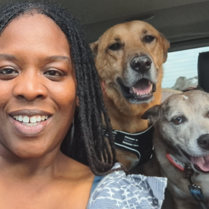 dr. Croom in the car with two dogs peering from the back.